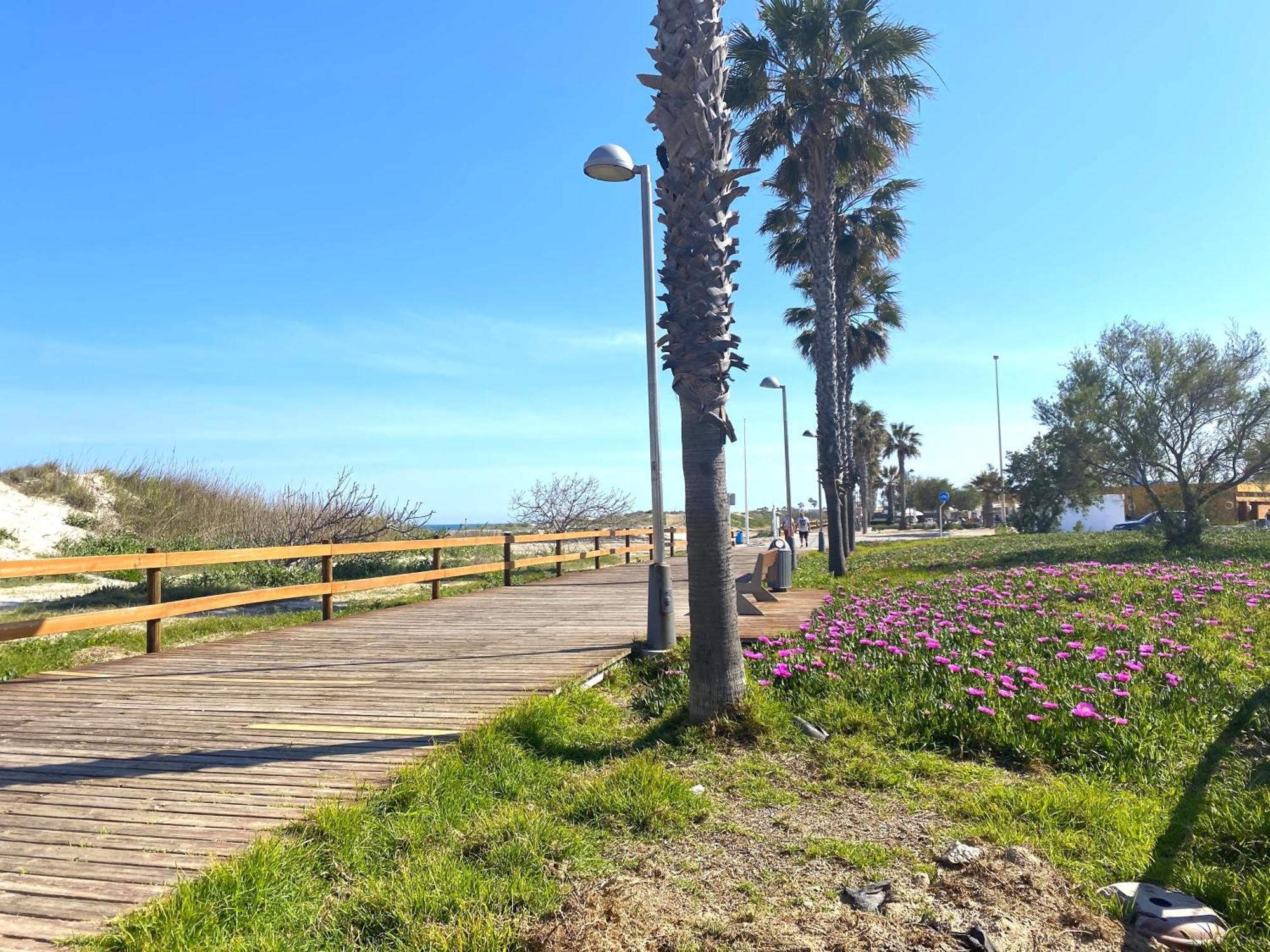 Precioso Apartamento A Tan Solo 300 M De La Playa Pilar de la Horadada Kültér fotó